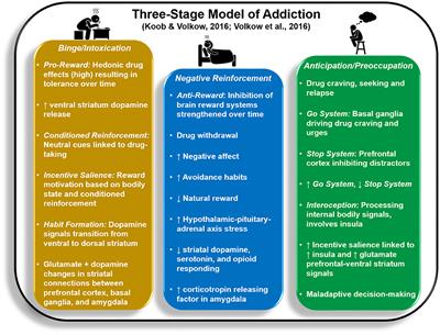 <mark class="highlighted">Forging</mark> Neuroimaging Targets for Recovery in Opioid Use Disorder